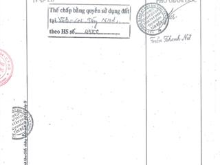 Qsdđ thửa đất số 464, tbđ 43, ấp sân bay, xã tân phong, huyện tân biên, tỉnh tây ninh