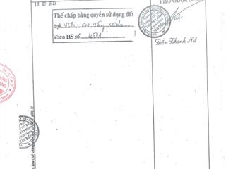 Qsdđ thửa đất số 459, tbđ 43, địa chỉ ấp sân bay, xã tân phong, huyện tân biên, tỉnh tây ninh