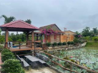 Bán đất 1,5ha tặng 3 nhà vườn đầy đủ tiện nghi  ao hồ và 1 khu vườn cây ăn trái đủ loại 3 năm tuổi