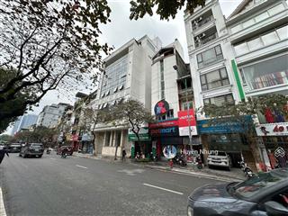 Bán nhà mặt phố vip ba đình  kd đỉnh  50m² x 5 tầng  giá nhỉnh 20 tỷ , thương lượng, ít nhà bán
