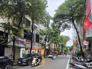 Ba đình, mặt phố linh lang, dt86m* 5 tầng, mt rộng 7m, phù hợp nhiều mục đích kinh doanh.
