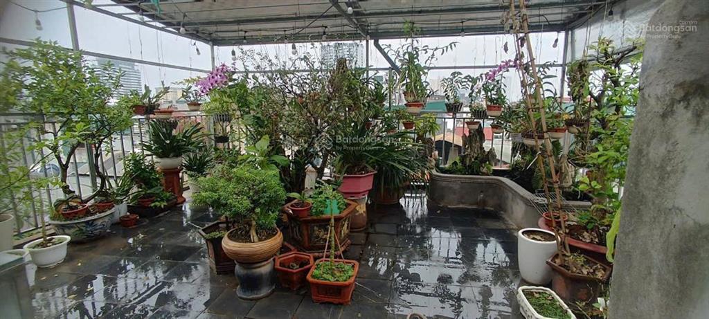 Giảm sâu! nguyễn phúc lai, lô góc, dân xây, 30m ra ô tô, sân rộng, kinh doanh, sổ đẹp, 37m2x5t