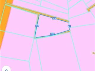 Có lô đất ở Tam Phước, Long Điền như sau:
🍀 DT: 338mv, sẵn 50tc, còn lại cây LN