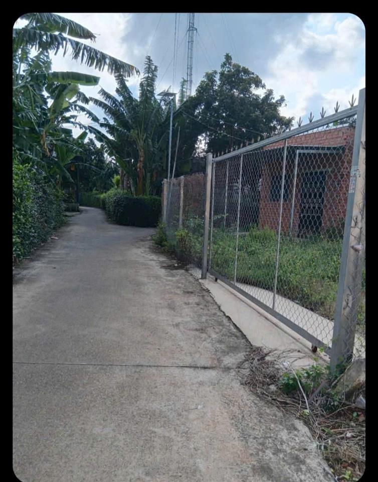 Chủ bán 100mv đường bê tông ô tô xã đất đỏ hcm 5x20 60 tc giá chỉ 900tr