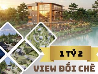 🌿 MỞ BÁN View đồi chè Tâm Châu đầy đủ tiện ích☘️☘️☘️