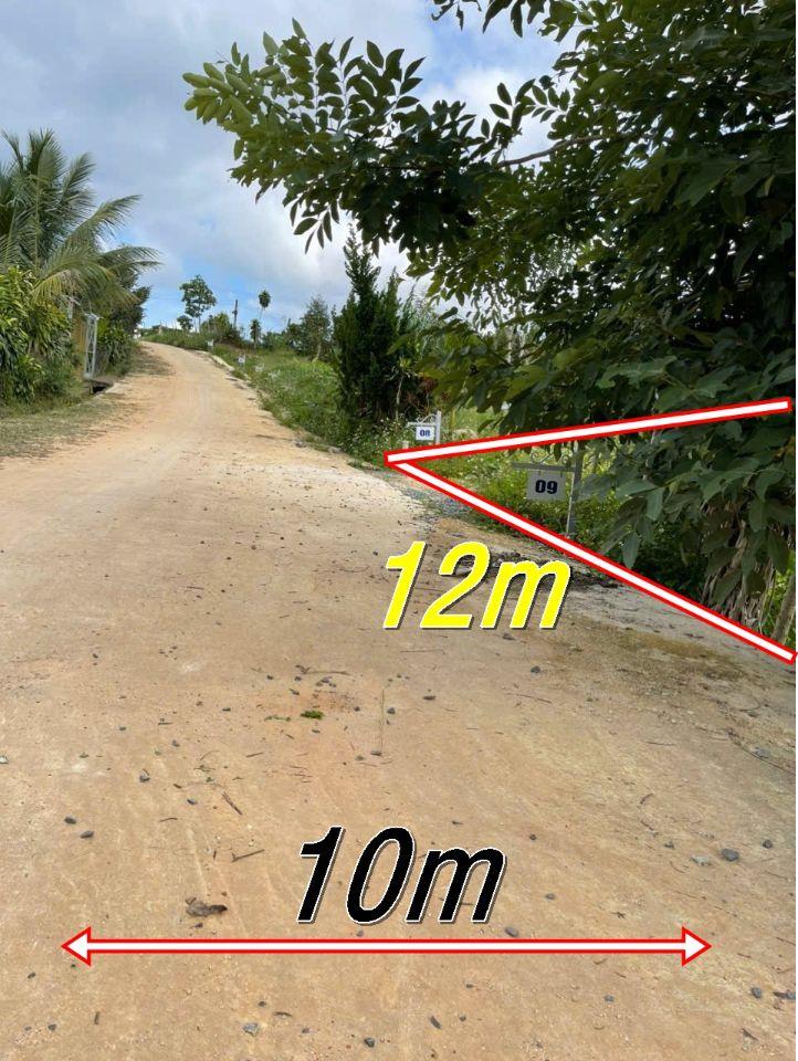 CHÍNH CHỦ CÒN 2 LÔ DUY NHẤT – GIÁ F0 550 TRIỆU/LÔ