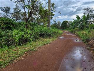 Bán rẫy cà phê 2 mặt tiền tại gia lai