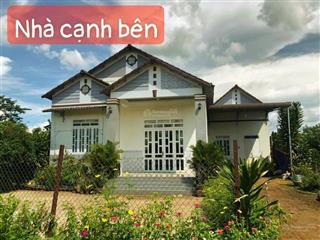 Cukuin đắk lắk đất sào đẹp, quy hoạch thổ cư, xung quanh biệt thự mái thái giàu gần tiện ích .