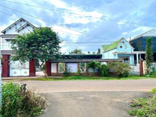 Lô đất đường nhựa thổ cư mát mẻ còn xót lại tại bảo lâm, lâm đồng chỉ 499tr
