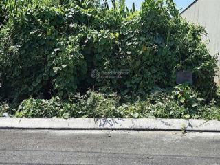 Bán đất nền giá rẻ kcn an nhơn cái tàu hạ châu thành đồng tháp, ngay ql80 cách cầu mỹ thuận ii 03km