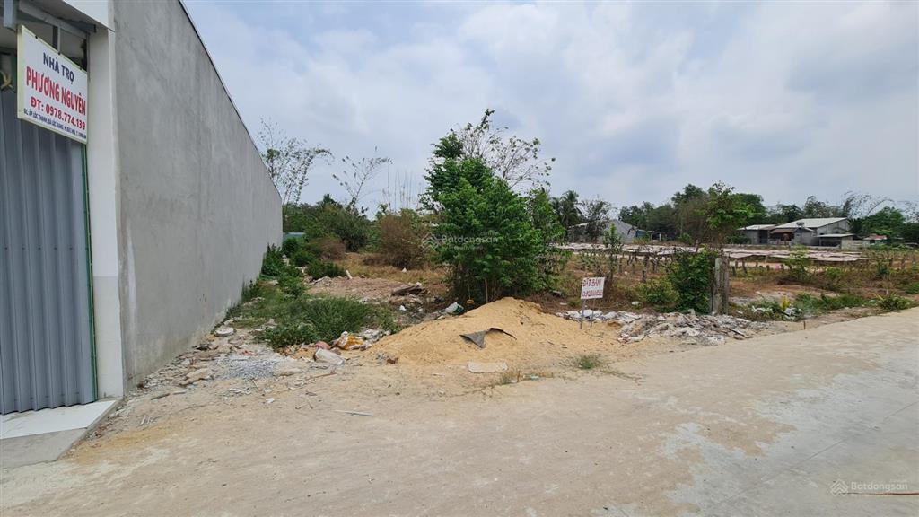 Bán đất mặt tiền đức hoà sổ hồng full thổ 391m2, đã tách 2 nền full thổ riêng biệt