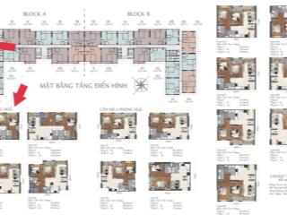 Nguyễn hiếu dic  bán căn hộ 3pn vung tau centre point, tháng 6/2025 bàn giao nhà. giá 5 tỷ