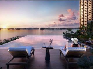 Triplex siêu phẩm trên không tại icon40