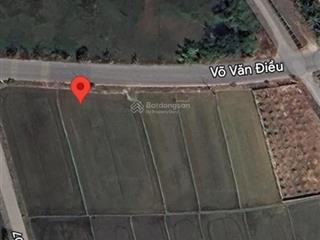 Bán đất mt đường võ văn điều, xã trung lập thượng dt 4760m2 qh cây lâu năm giá 9tr/m2