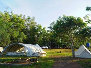 5000m2 với hơn 60m mặt tiền. đang triển khai farmstay, làng du lịch nghỉ dưỡng. cách chợ 500 mét
