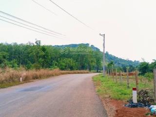 1ha vườn điều thị trấn tân phú  cách kcn bắc đồng phú 700 mét, lên liền được 700m thổ cư