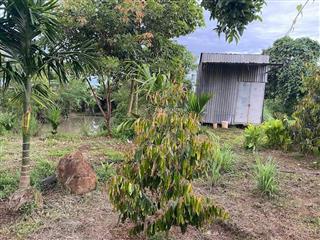 Chủ sg bán 40x50 căn nhà vườn có ao tân lập  đồng nai mới 410tr