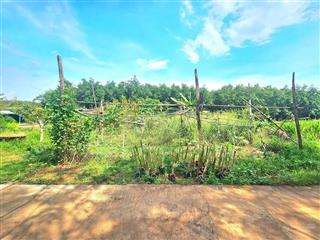 Tài sản đầu tay 220tr múc ngay. đất nhà cắt, vườn rau thổ nhưỡng tốt ngang 8 tân hưng