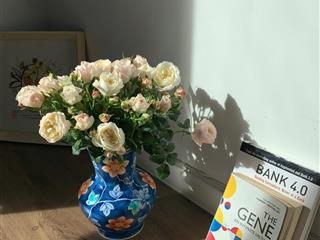 Hàng hiếm  bán 3 phòng ngủ diện tích hiếm 150m² tầm nhìn nội khu đẹp  sổ hồng sẵn giao dịch ngay