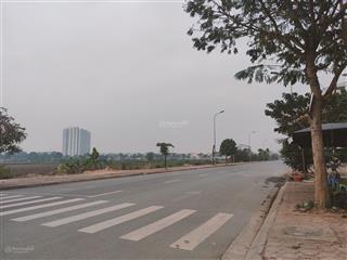 Bán nhà riêng tại thị trấn trâu quỳ, 10,5 tỷ, 75 m2, chính chủ giá siêu hời