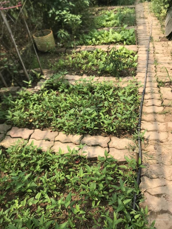 Chính chủ bán nhà vườn đẹp 60m2 trên 400m2, điện nước, điều hòa, phố âu cơ, 4 tỷ