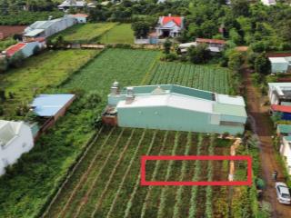 Bán đất 152m2 tại đường nguyễn tuân, xã an phú, plei ku, gia lai, giá 690 triệu