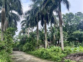 Bán 850m đất tại nhuận trạch lương sơn hoà bình