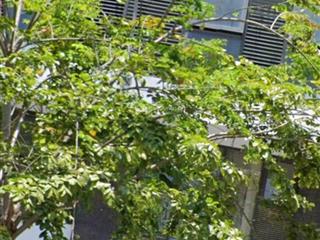 Shophouse ct3 kđt vĩnh điềm trung nha trang dt 194m2 ngang 6,1m gần hồ