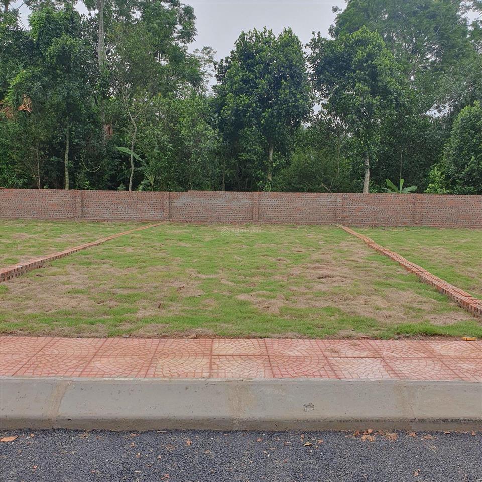 Chính chủ cần bán đất phường xuân sơn thị xã sơn tây, diện tích 103m² mặt tiền 8m. đường thảm nhựa