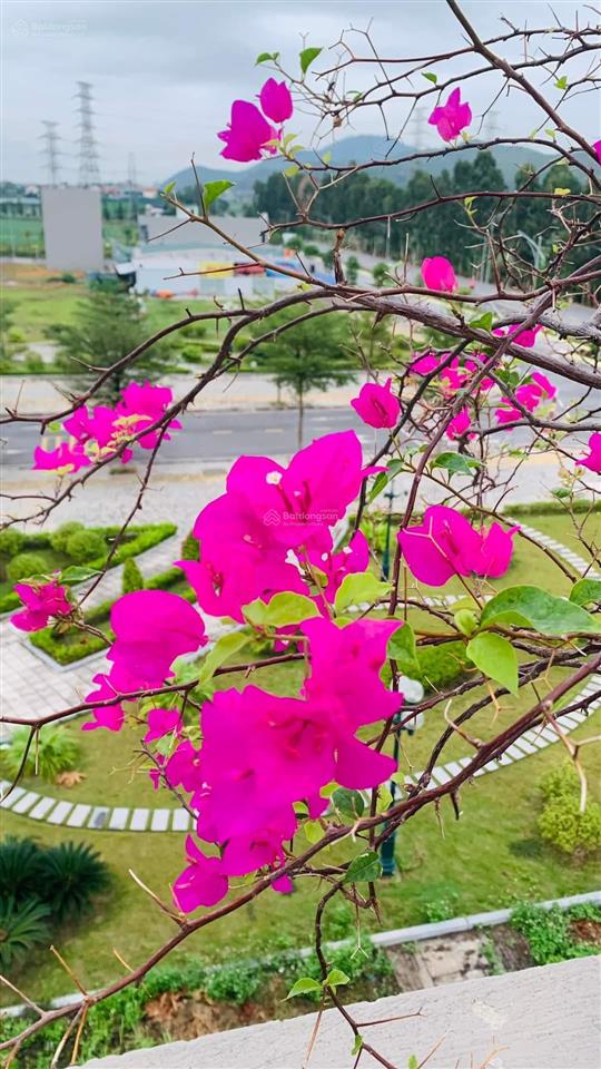 Bán đất đẹp 22 triệu/m2 khu đt đông an phụ, cổ tân, p. an phụ, tx kinh môn, hải dương