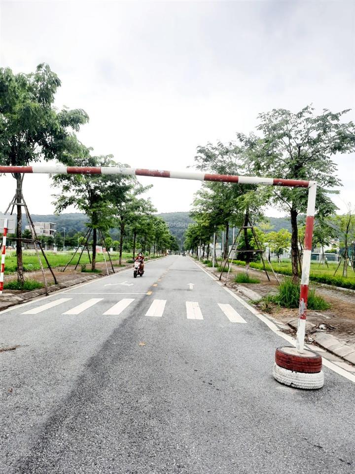 Bán đất đẹp 22 triệu/m2 khu đt đông an phụ, cổ tân, p. an phụ, tx kinh môn, hải dương