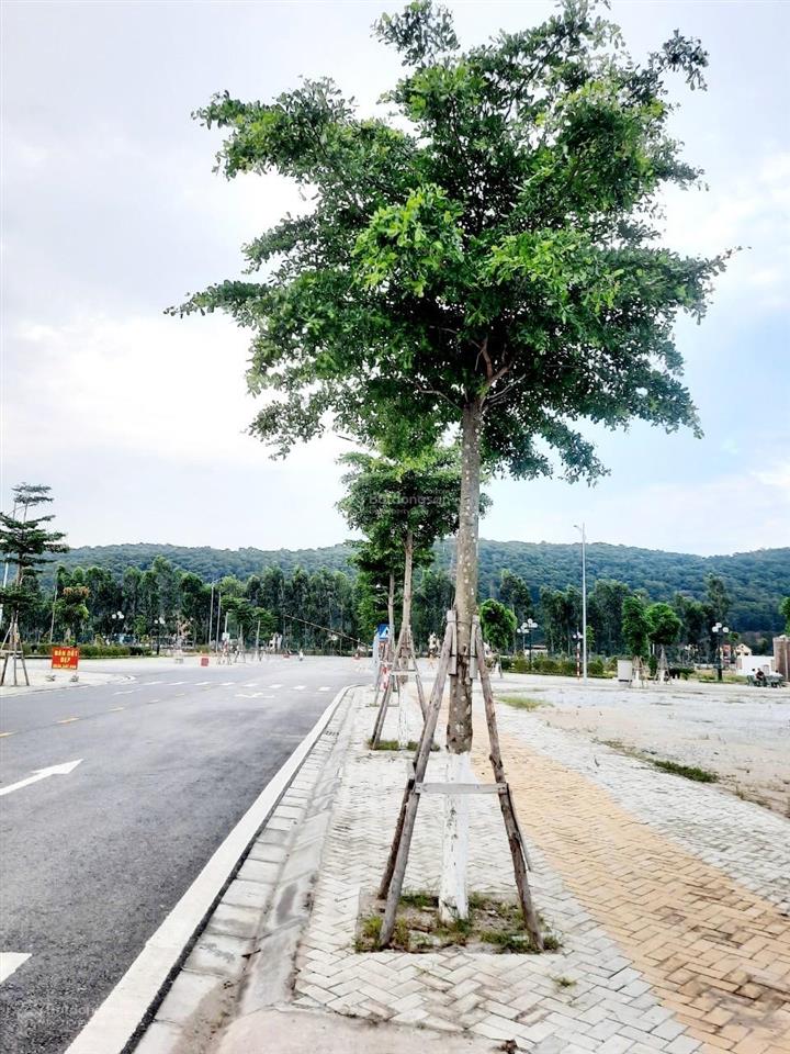 Bán đất đẹp 22 triệu/m2 khu đt đông an phụ, cổ tân, p. an phụ, tx kinh môn, hải dương
