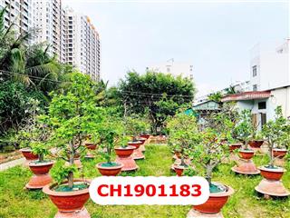 Đất mt 221 lê tấn bê  24 x 80m  59 tỷ  kế akari city