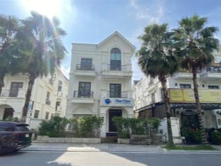Siêu hót! đơn lập hải âu 1 view trọn hồ 24,5ha giá tốt nhất tại vinhomes ocean park 1 gia lâm