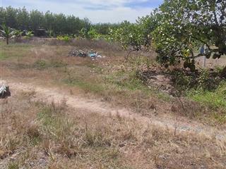 Bán đất thạnh đức, gò dầu, tây ninh giá ưu đãi 690 triệu, 590m2