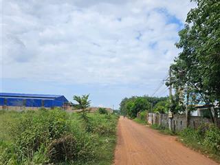 Chính chủ cần bán gấp đất siêu đẹp ở gần khu công nghiệp bàu bàng, lai hưng, bình dương