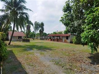 Bán nhà vườn 1350m2 shr 1000m2 300m2 thổ cư Đỗ Văn Dậy Hóc môn giá rẻ