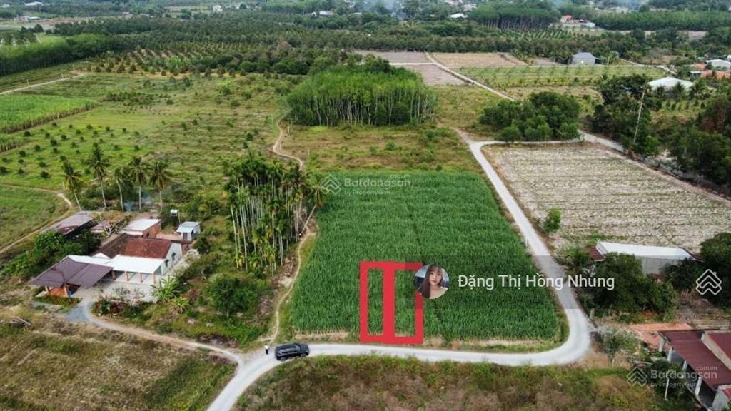 Chủ gửi siêu phẩm 1 sẹc cầy niêu sát kcn hiệp thạnh 5*23m có tc chỉ 390tr