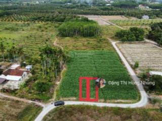 Chủ gửi siêu phẩm 1 sẹc cầy niêu sát kcn hiệp thạnh 5*23m có tc chỉ 390tr