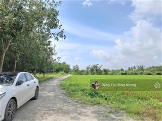 5x28m full tc cây da, hiệp thạnh, gò dầu, tây ninh, chỉ 400tr