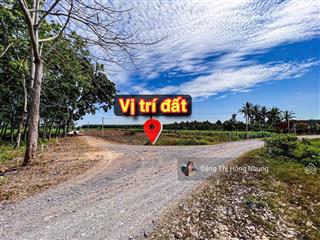 Bán đất đẹp xuất sắc tại lộc ninh, dương minh châu, tây ninh, 240 triệu, 175 m2 có 60m2 thổ