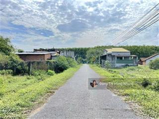 590tr, nhựa ấp chánh, phước thạnh mới 5x27m full thổ cư