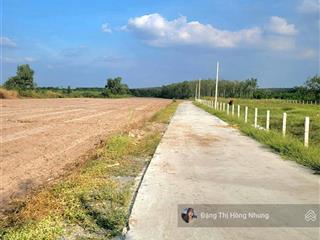 1135m2 có thổ cư gần bên kcn hiệp thạnh đường bê tông chỉ 1.1 tỷ
