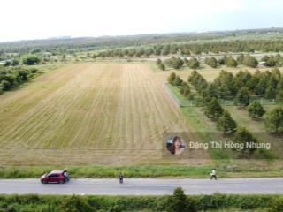 6.2 tỷ xây trọ, nhà xưởng... sát kcn phước đông 7072m2 có 1600m2 thổ cư