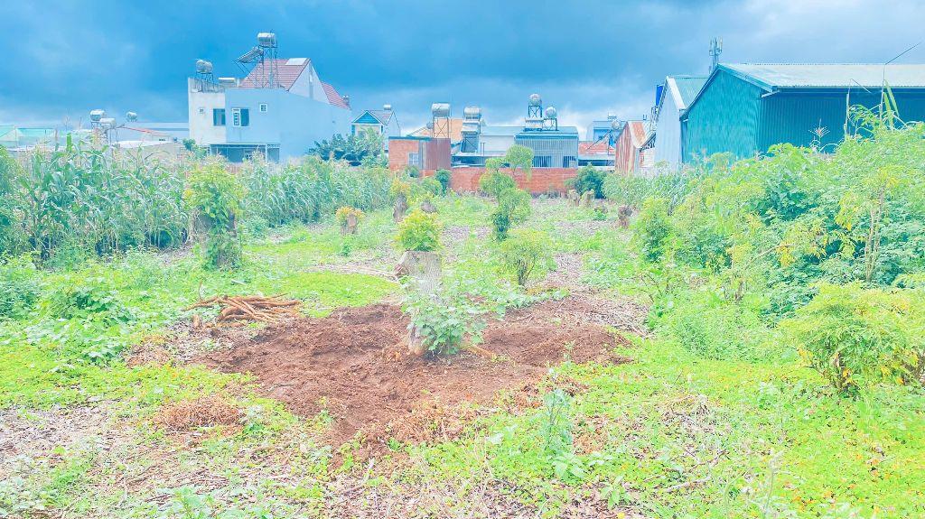 Đất víp mặt tiền Trần Bình Trọng, trung tâm đức trọng, lâm đồng