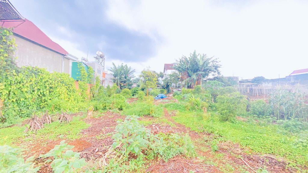 Đất víp mặt tiền Trần Bình Trọng, trung tâm đức trọng, lâm đồng