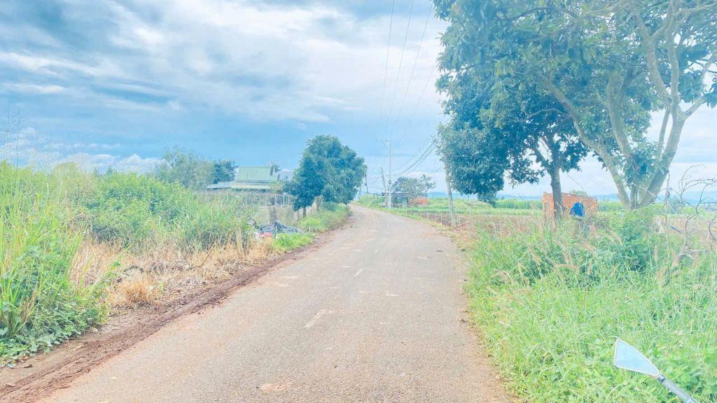 Bán 1,2 sào mặt tiền nhựa nhánh dt724, phú hội cũ, Đức trọng, lâm Đồng