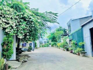 2 lô đất nhánh phù đổng thiên vương, đối diện sân bay quốc tế lương khương, đức trọng, lâm đồng