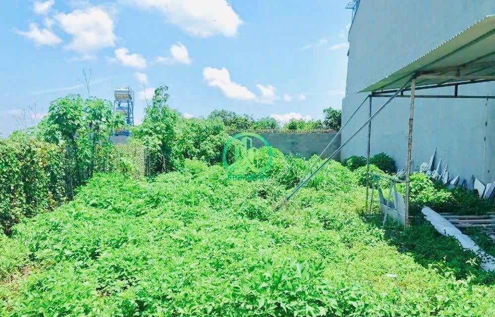 2 lô đất nhánh phù đổng thiên vương, đối diện sân bay quốc tế lương khương, đức trọng, lâm đồng