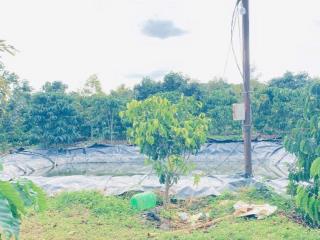 Hơn 9 sào sổ sẵn 8,5 sào, full cafe thuộc ninh gia, lâm đồng